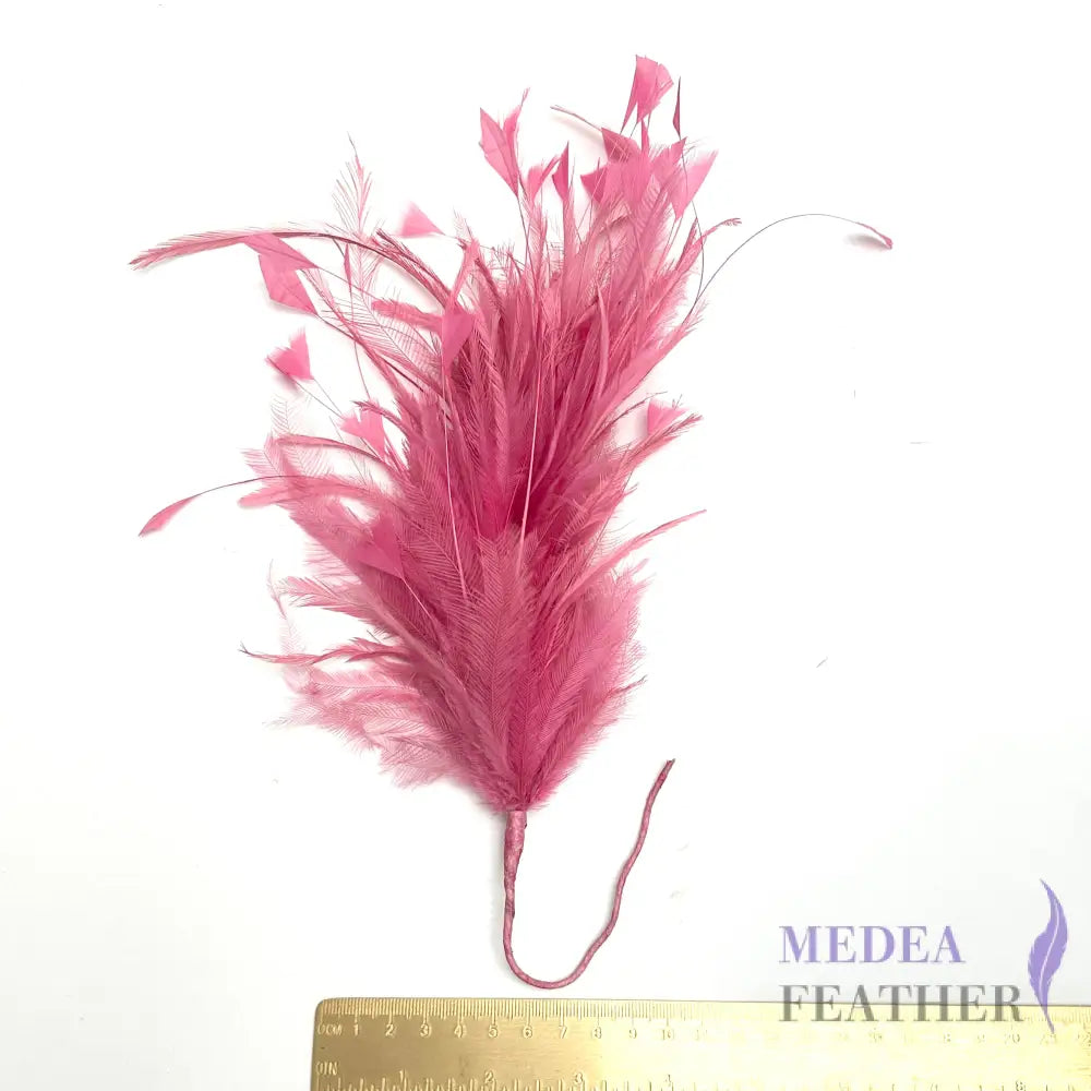Hackle and Peacock Diamond Tips Feather Mount FM530