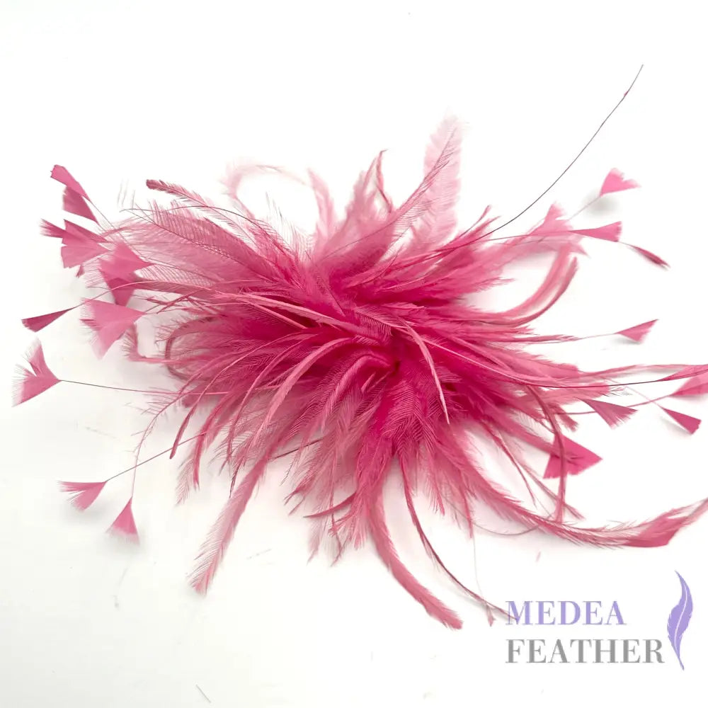 Hackle and Peacock Diamond Tips Feather Mount FM530
