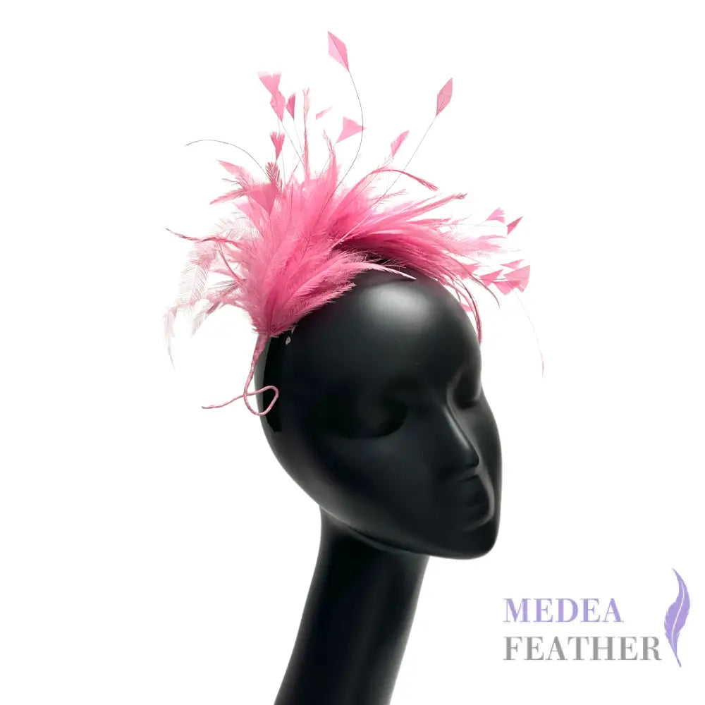 Hackle and Peacock Diamond Tips Feather Mount FM530 #94 as picture