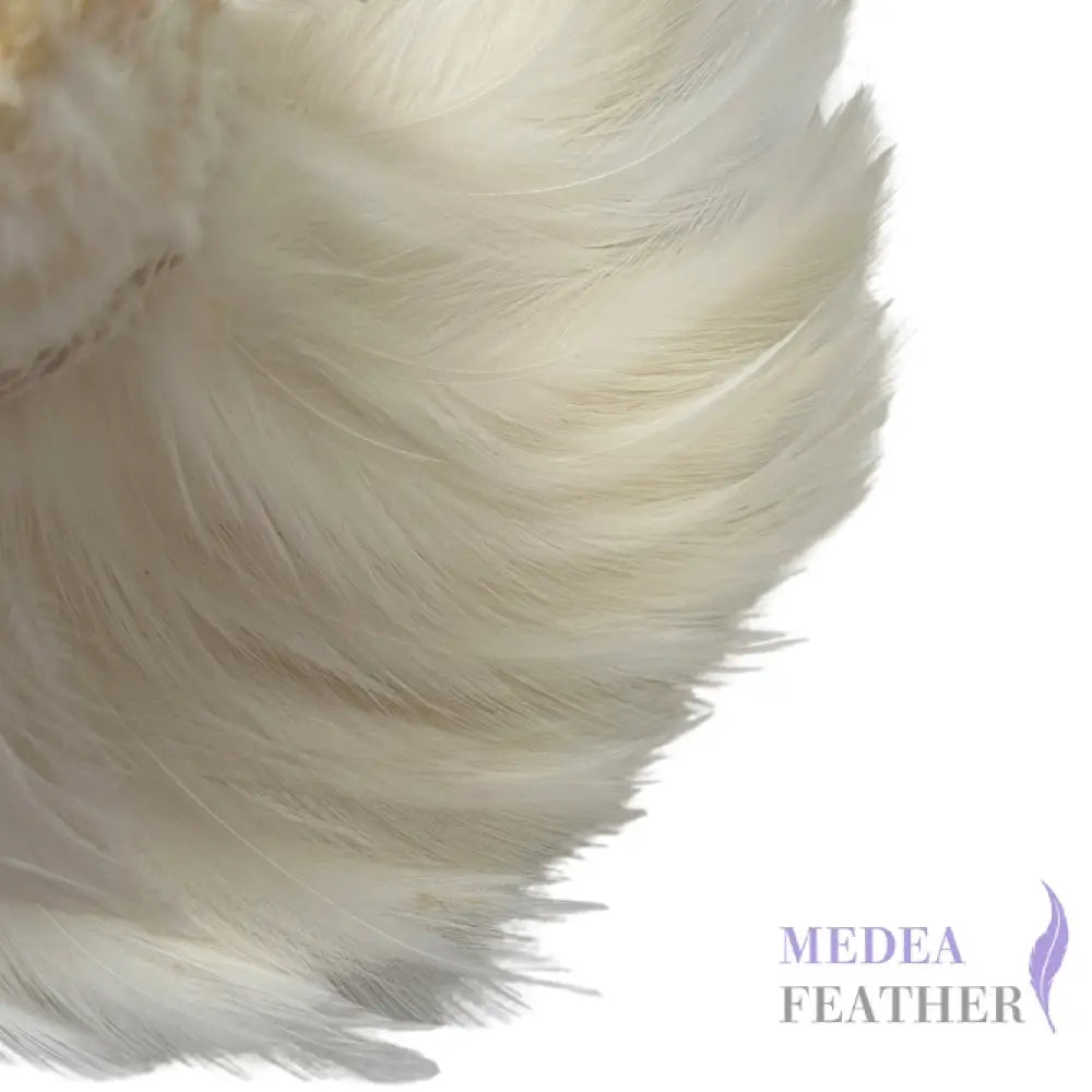 Hackle Feather 100 pcs - #01 Ivory