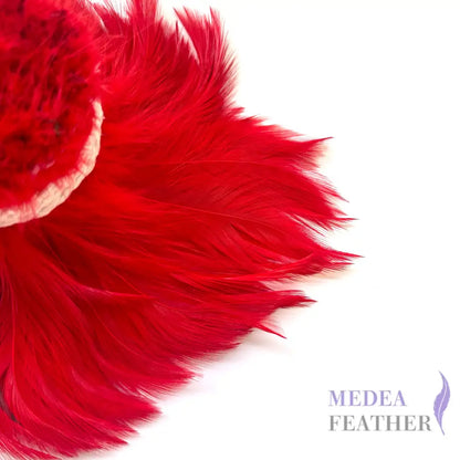 Hackle Feather 100 pcs - #22 red