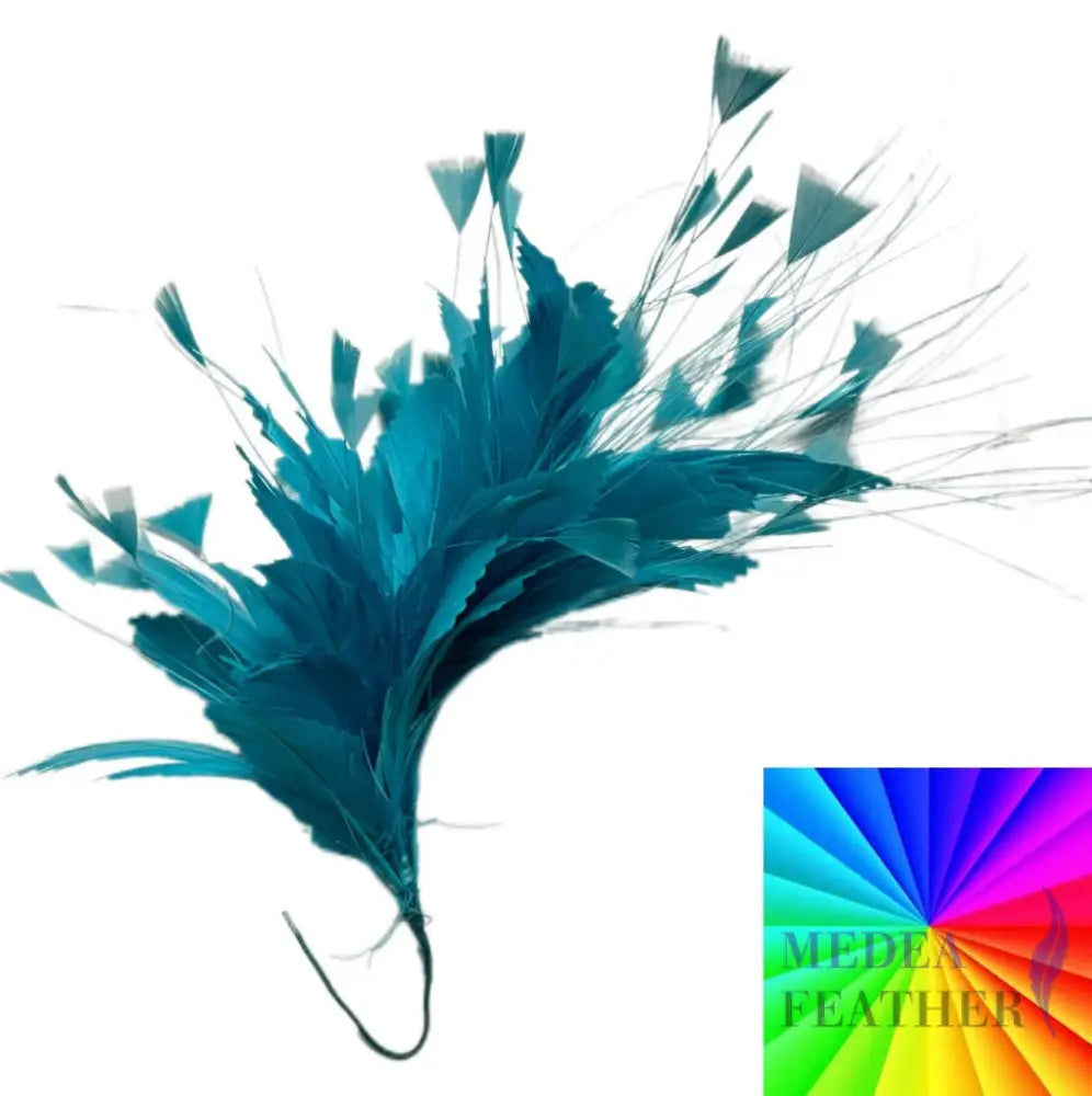 Handmade Triangle Tipped Stripped Coque & Burnt Peacock Feather Flower Mount FM074 Custom / Single feather mount