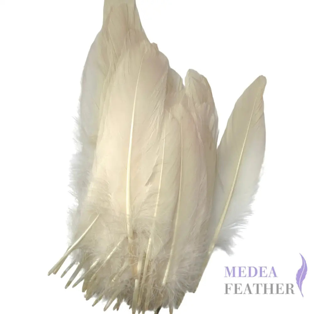Hard Goose Feather-Pack of 50 SF005 #01 Ivory