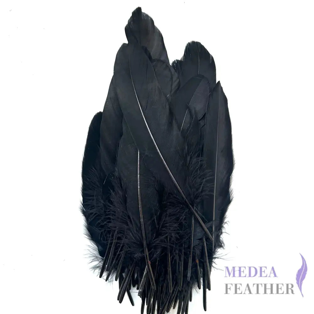 Hard Goose Feather-Pack of 50 SF005 #03 black