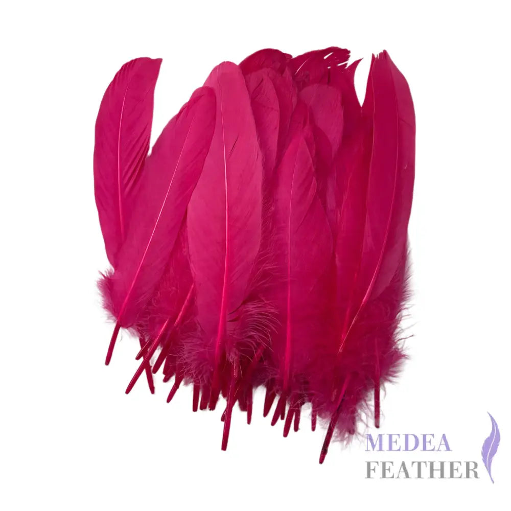 Hard Goose Feather-Pack of 50 SF005 #101 Fandango pink