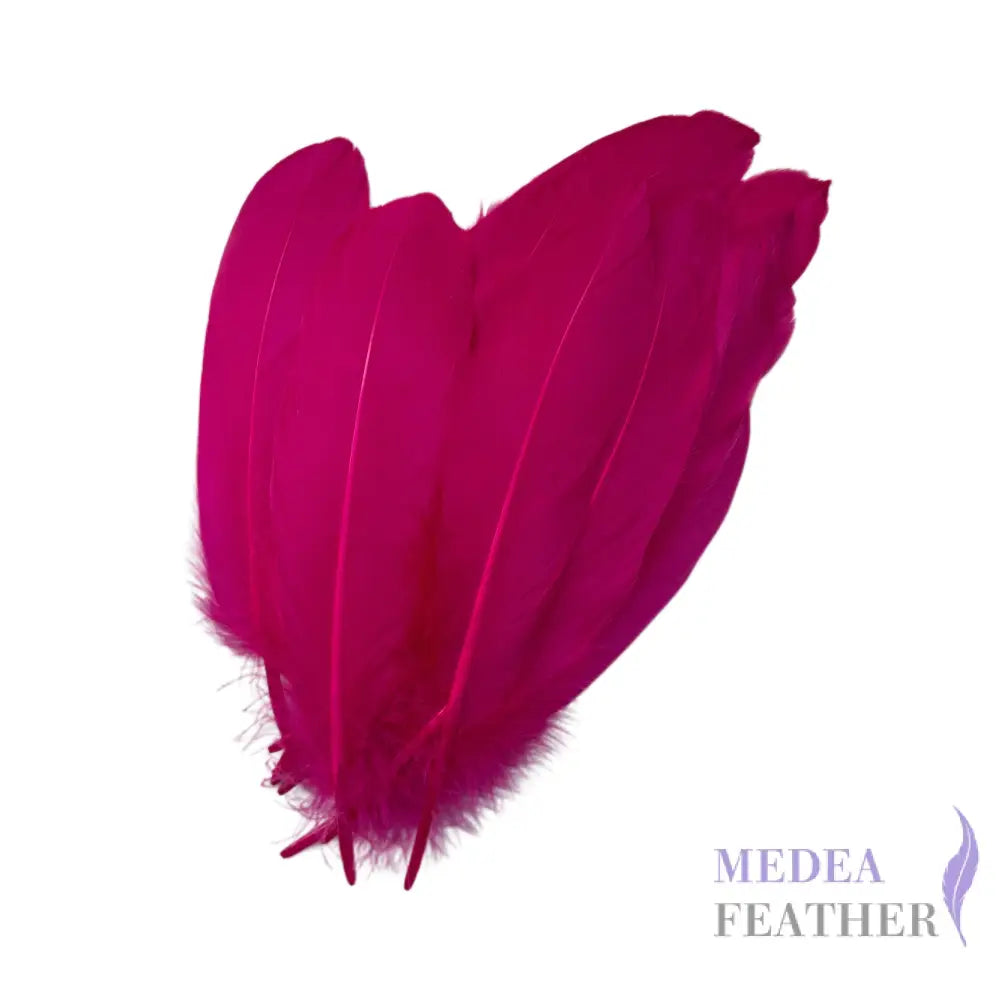Hard Goose Feather-Pack of 50 SF005 #20 Barbie pink