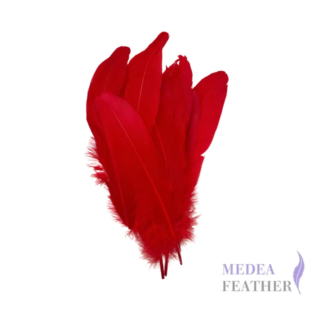 Hard Goose Feather-Pack of 50 SF005 #22 red