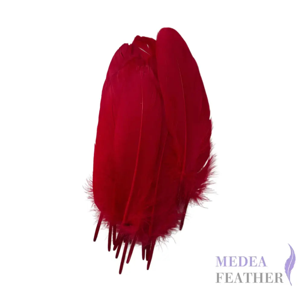 Hard Goose Feather-Pack of 50 SF005 #23 tango red