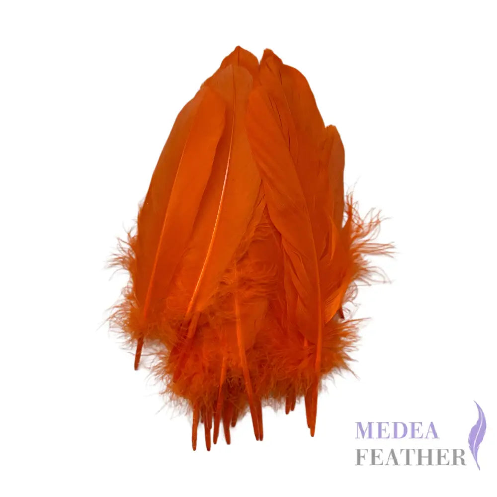 Hard Goose Feather-Pack of 50 SF005 #24 carrot