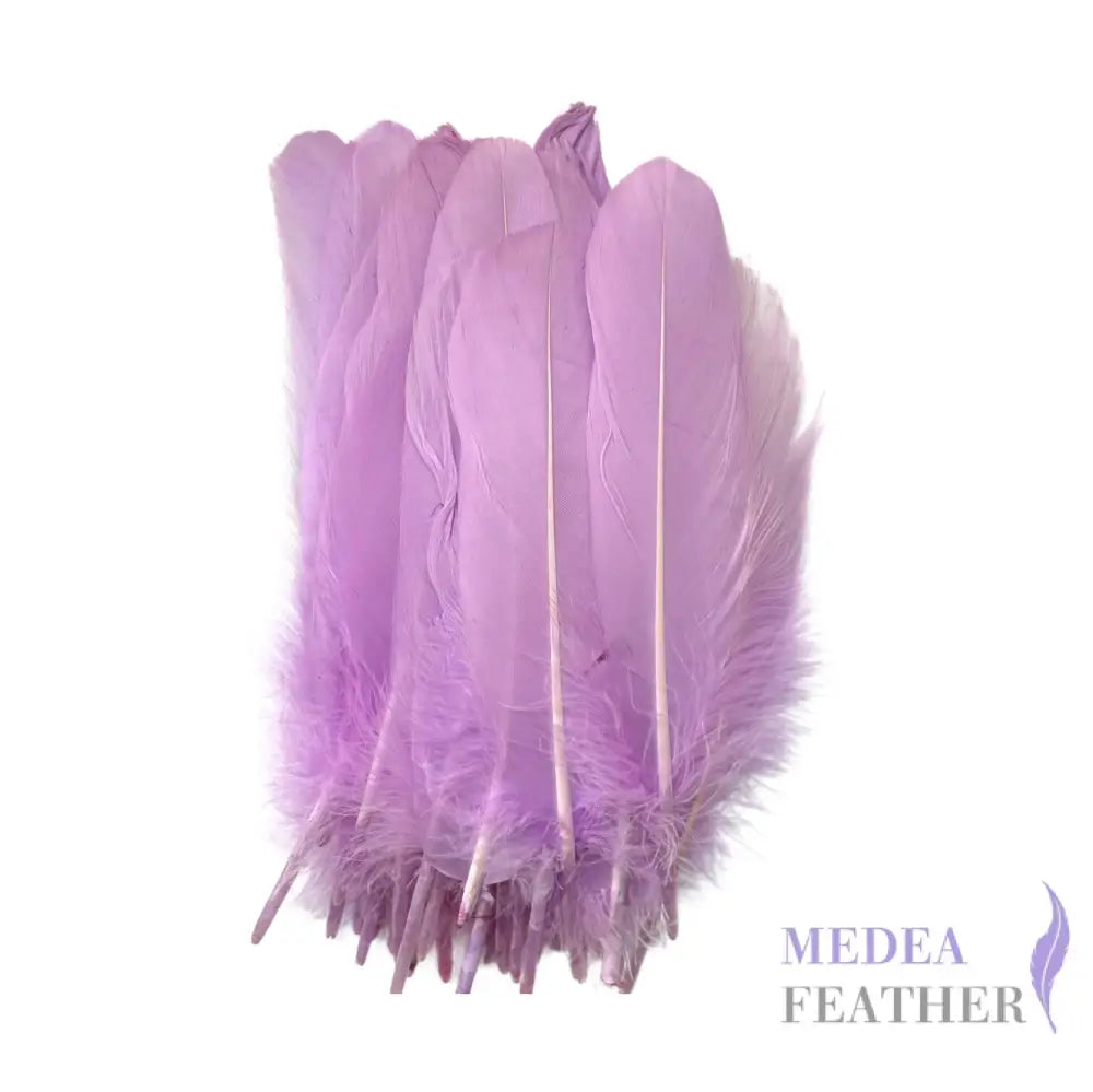Hard Goose Feather-Pack of 50 SF005 #53 lavendula
