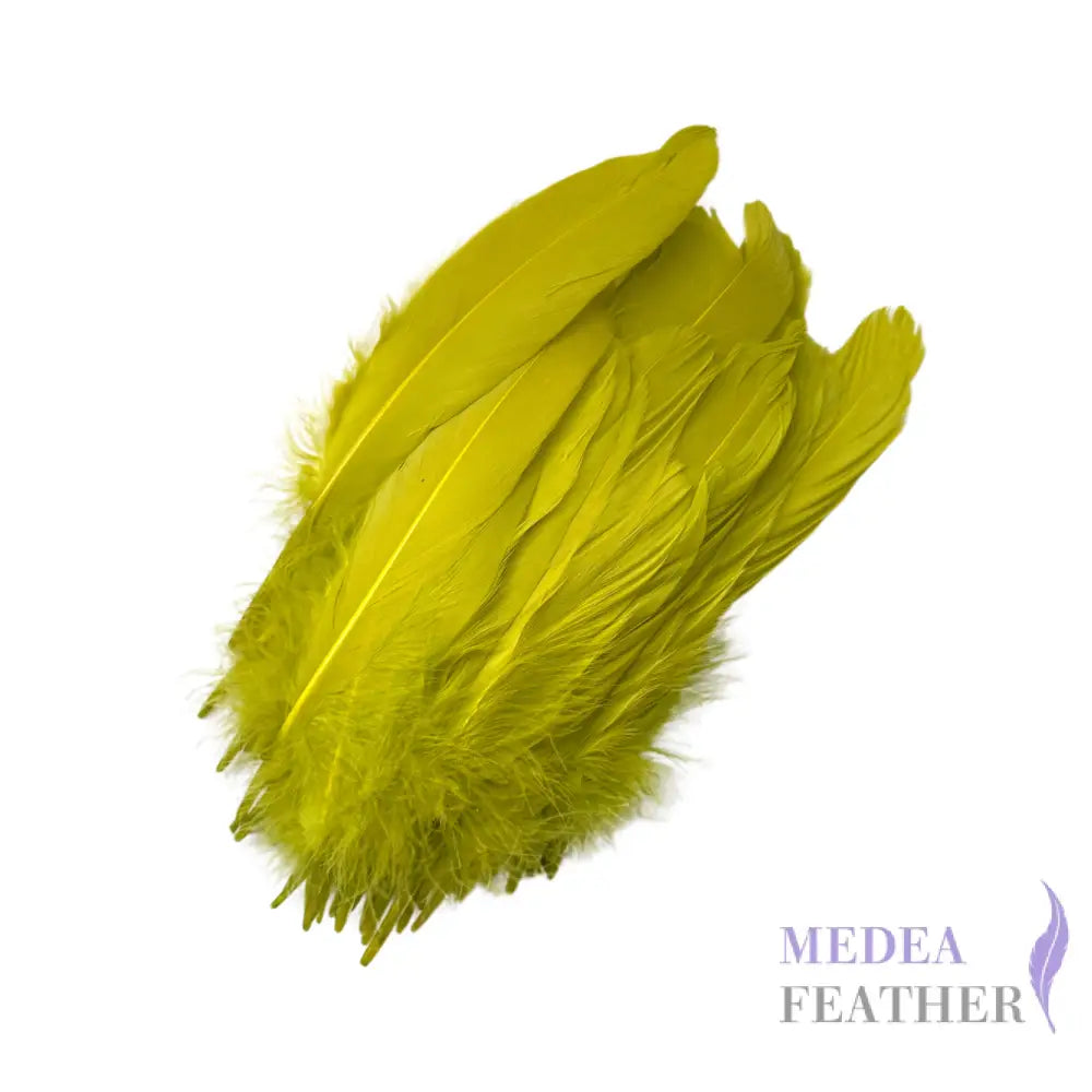 Hard Goose Feather-Pack of 50 SF005 #57 cress green