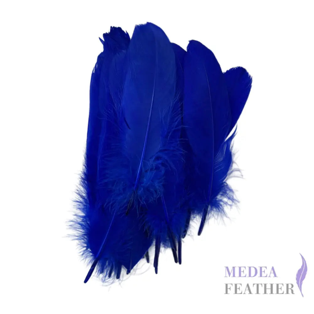 Hard Goose Feather-Pack of 50 SF005 #67 royal blue