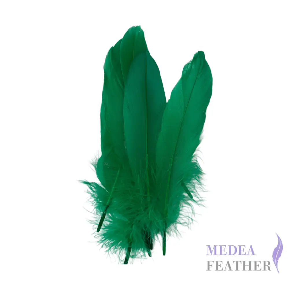 Hard Goose Feather-Pack of 50 SF005 #70 bright green