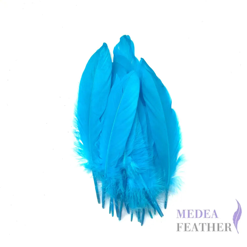 Hard Goose Feather-Pack of 50 SF005 #78 turquoise