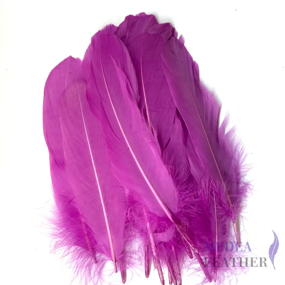 Hard Goose Feather-Pack of 50 SF005 #95 violet