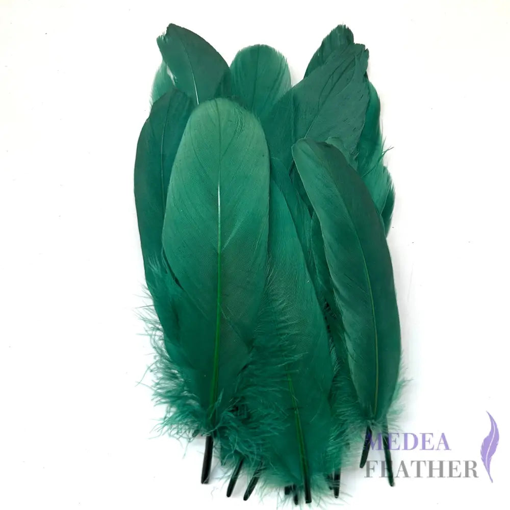 Hard Goose Feather-Pack of 50 SF005 #96 dark green