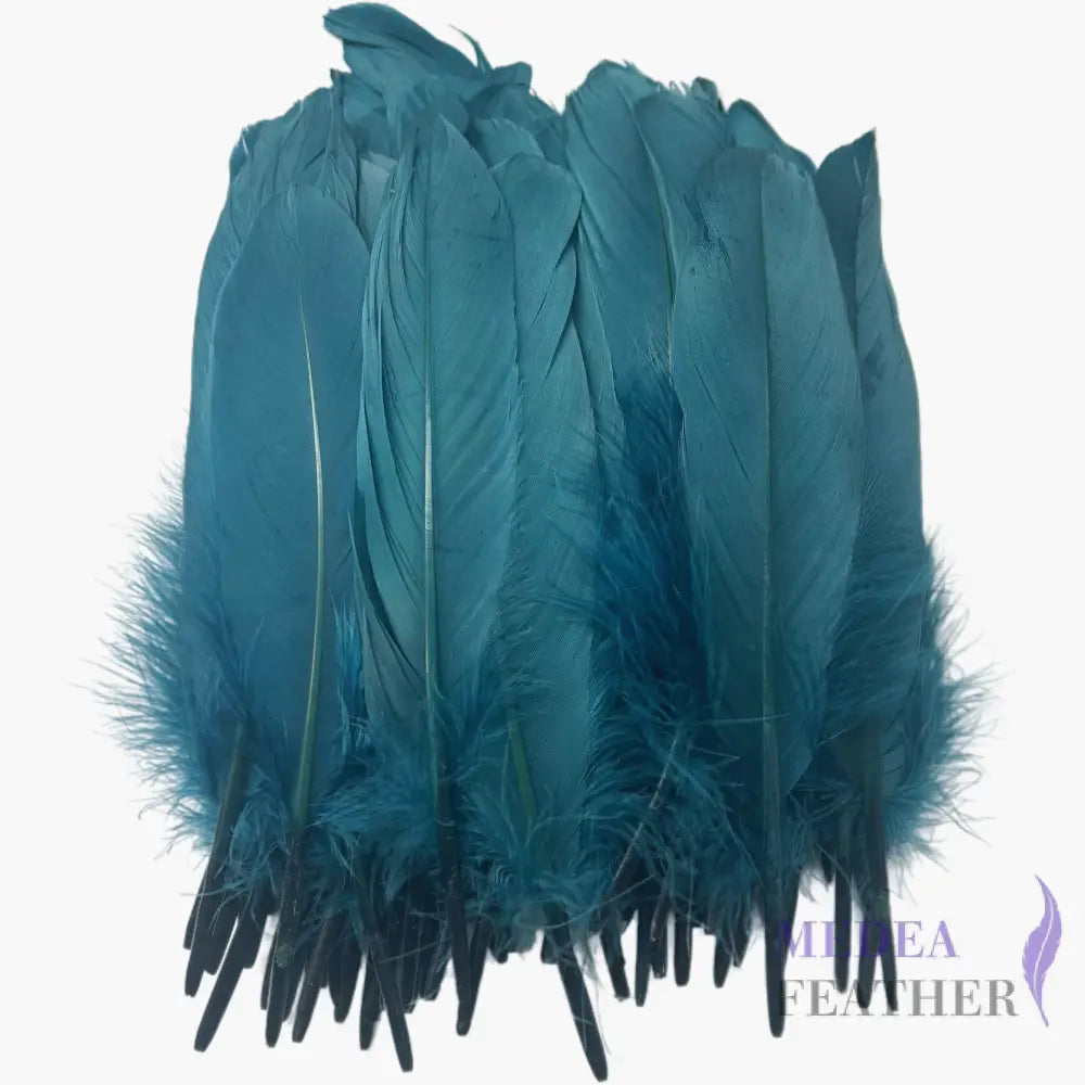 Hard Goose Feather-Pack of 50 SFGOOSE02 - Jade