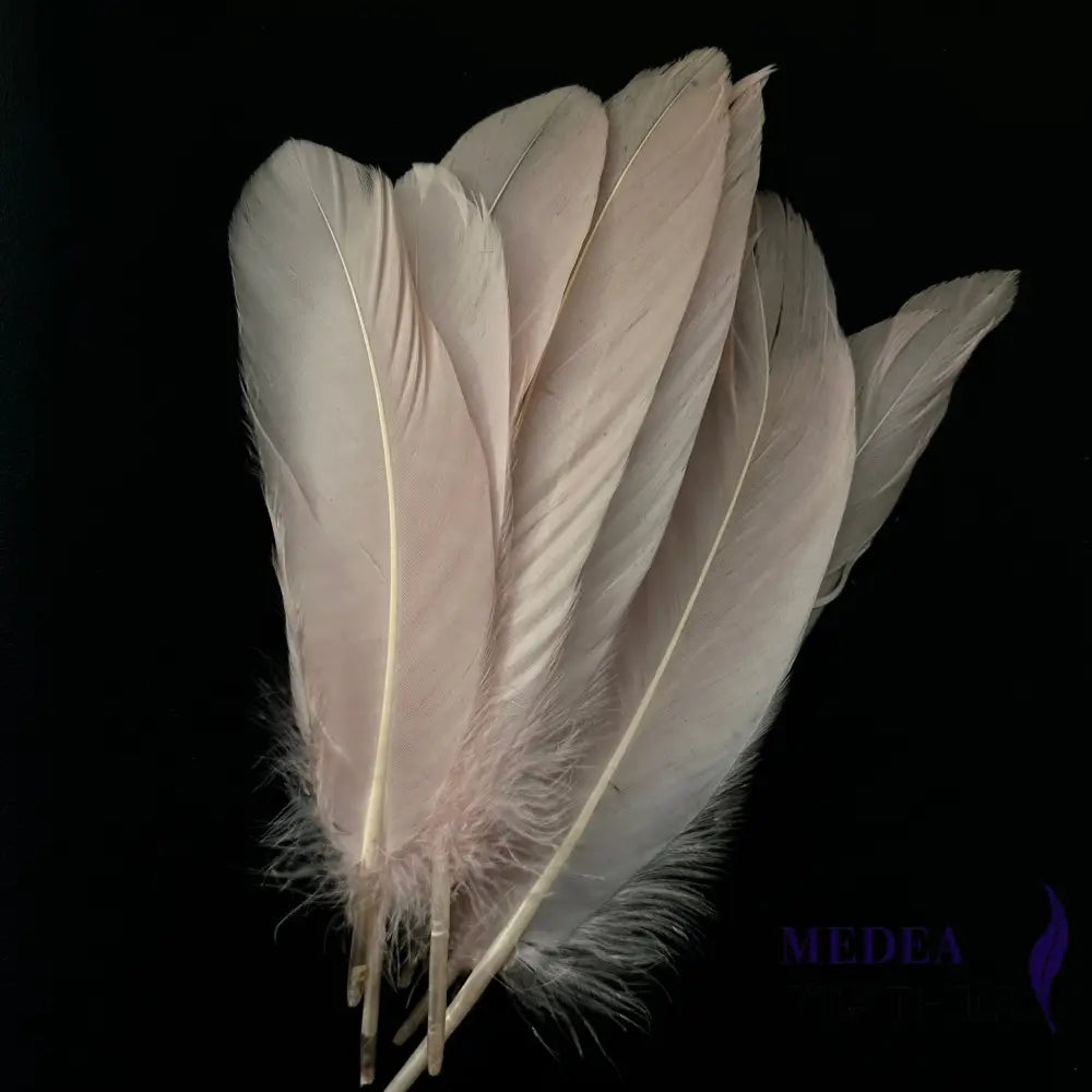 Hard Goose Feather-Pack of 50 SF005 #50 light pink
