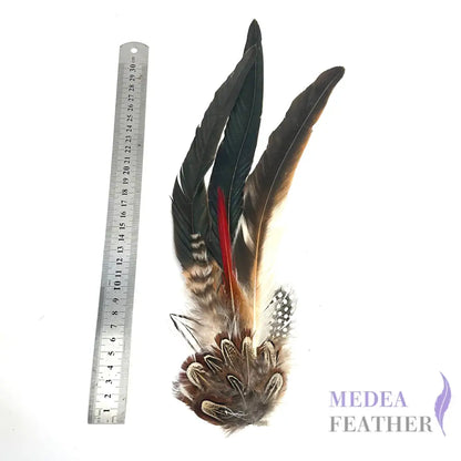 Large Country Feather Mount CFM01