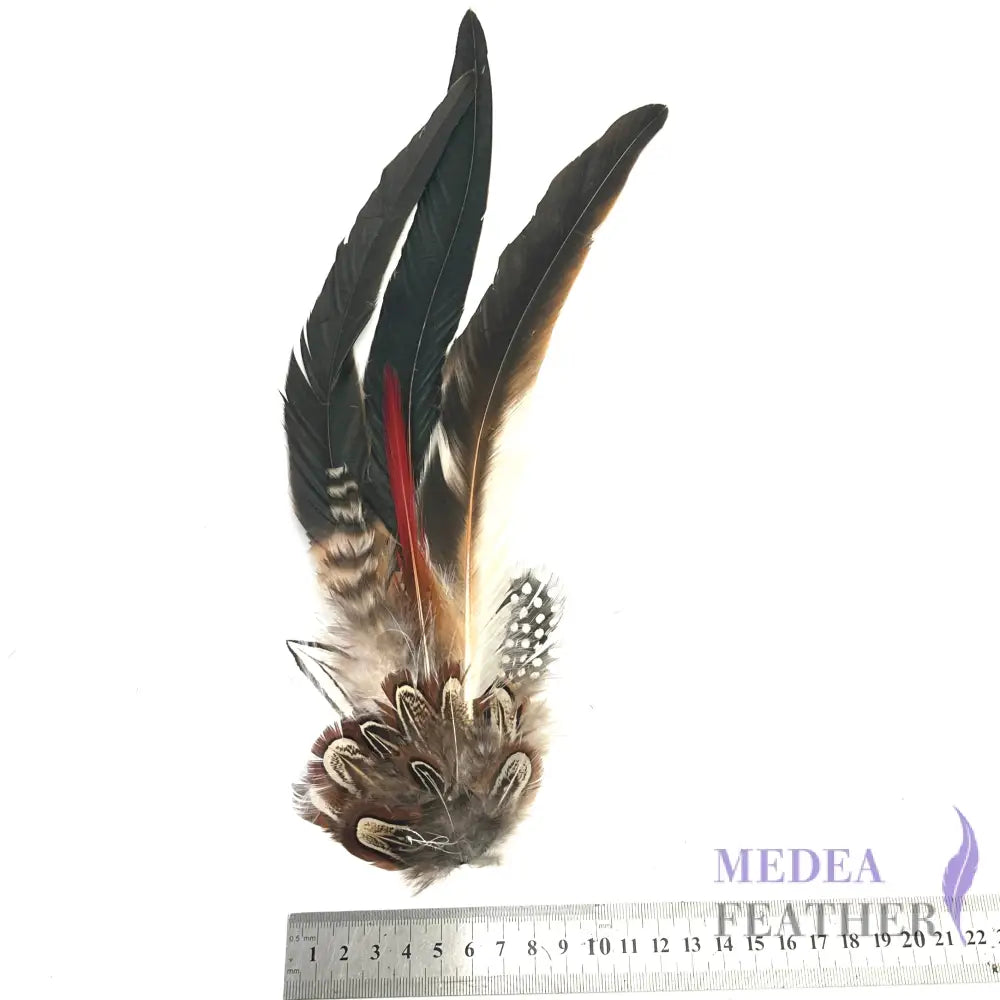 Large Country Feather Mount CFM01