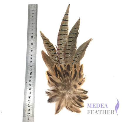 Large Country Feather Mount CFM03