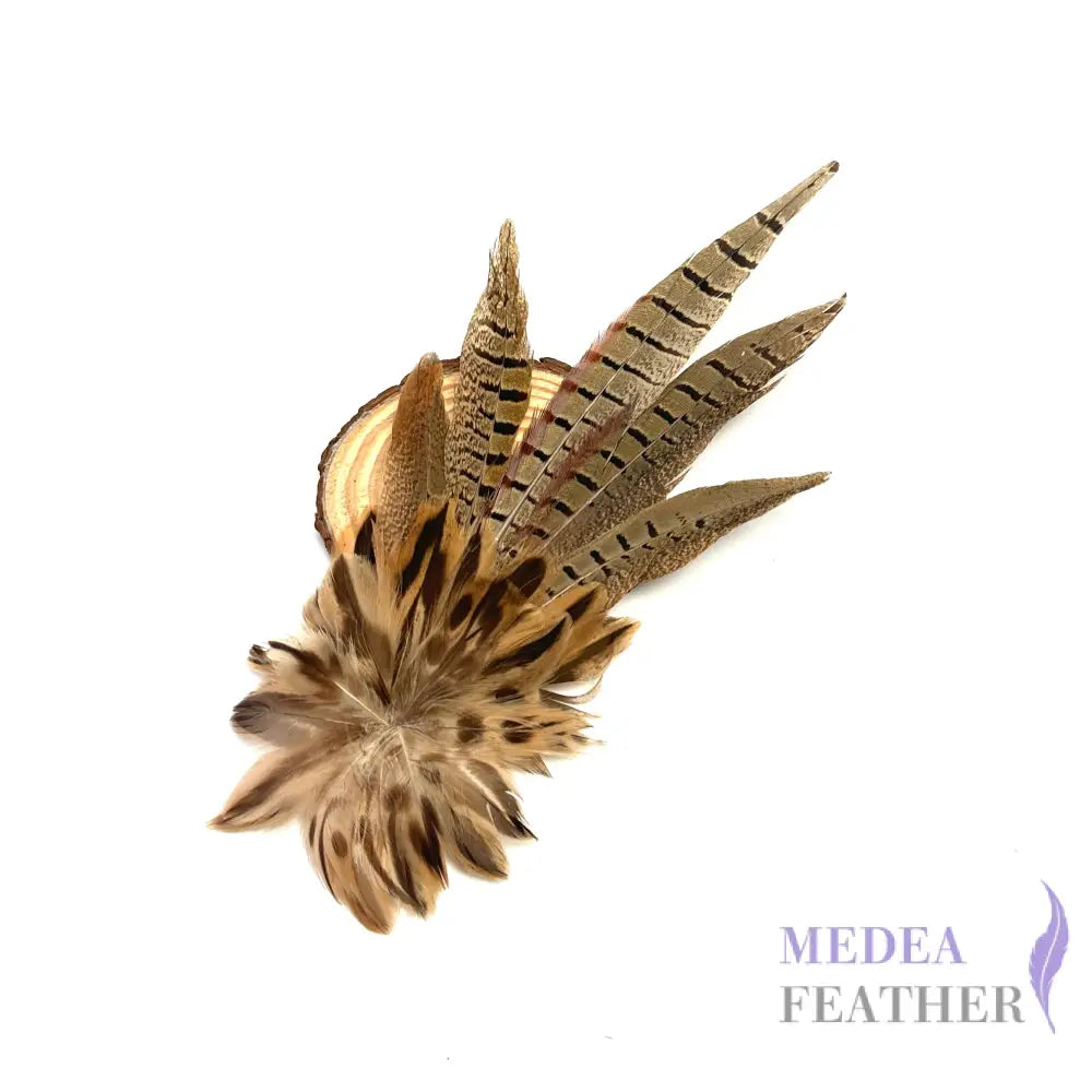 Large Country Feather Mount CFM03