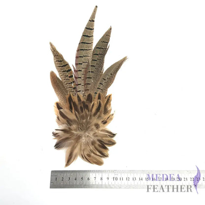 Large Country Feather Mount CFM03