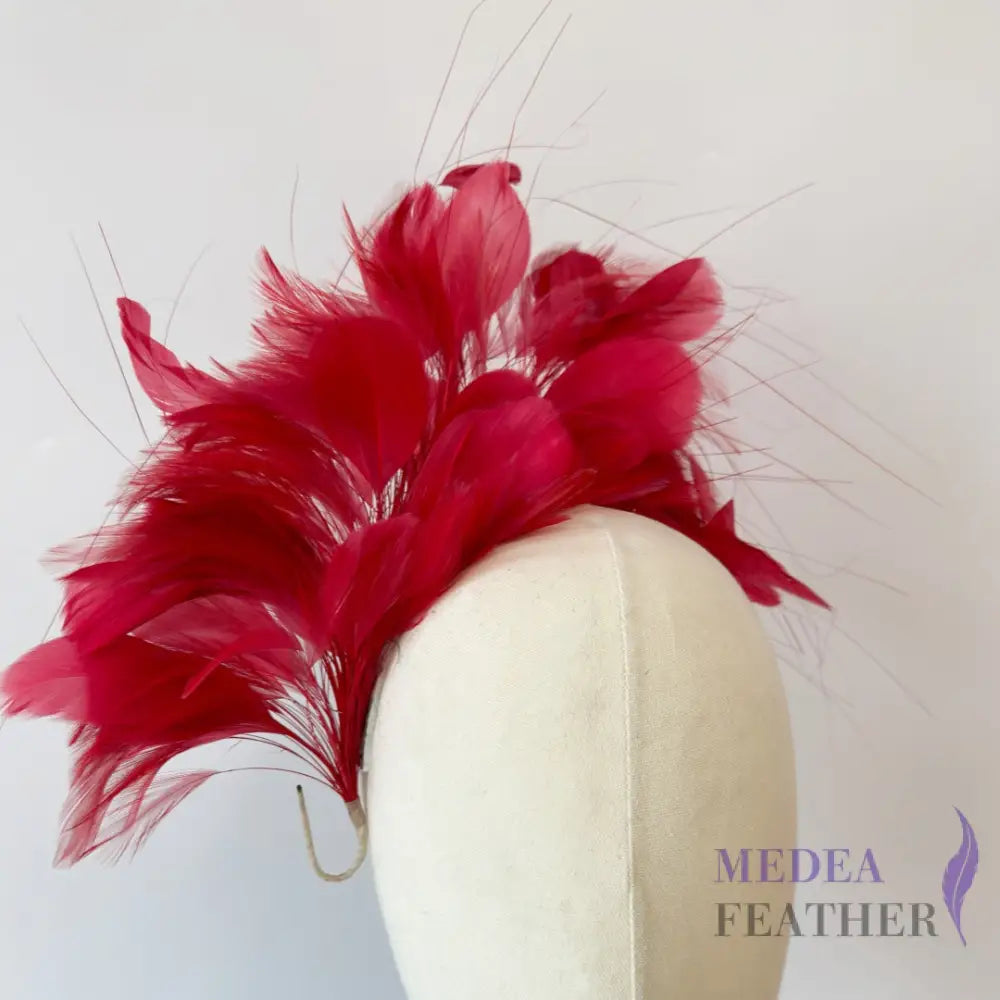 Large Goose and Hackle Feather Mount Custom - Please add text below