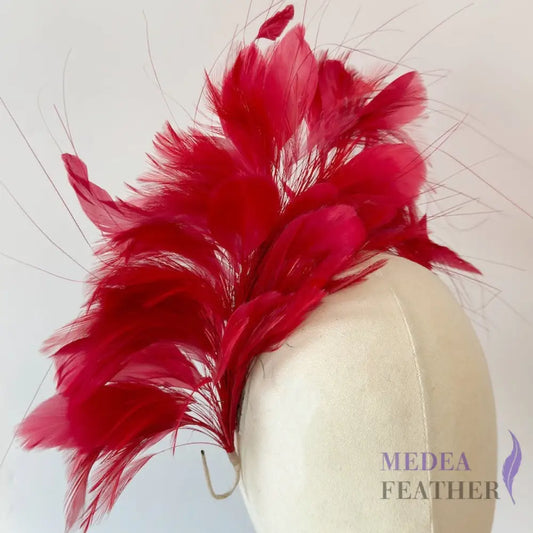 Large Goose and Hackle Feather Mount Custom - Please add text below
