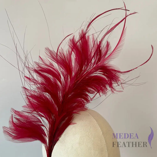 Large Goose Biot and Hackle Feather Mount Custom - Please add text below