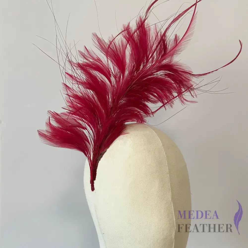 Large Goose Biot and Hackle Feather Mount Custom - Please add text below