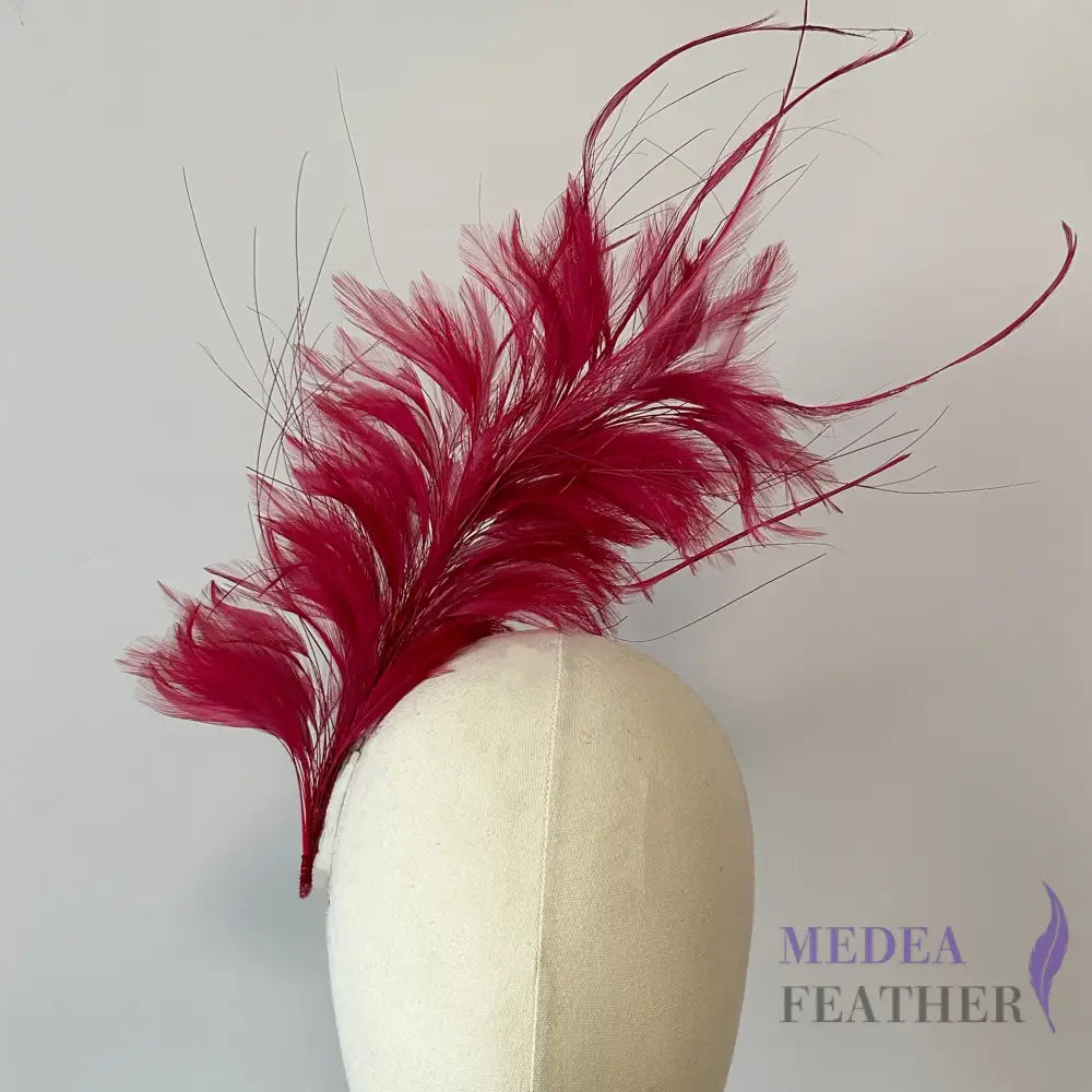 Large Goose Biot and Hackle Feather Mount Custom - Please add text below