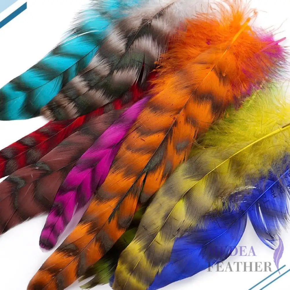 Long Chinchilla Coque Feather-Pack of 50