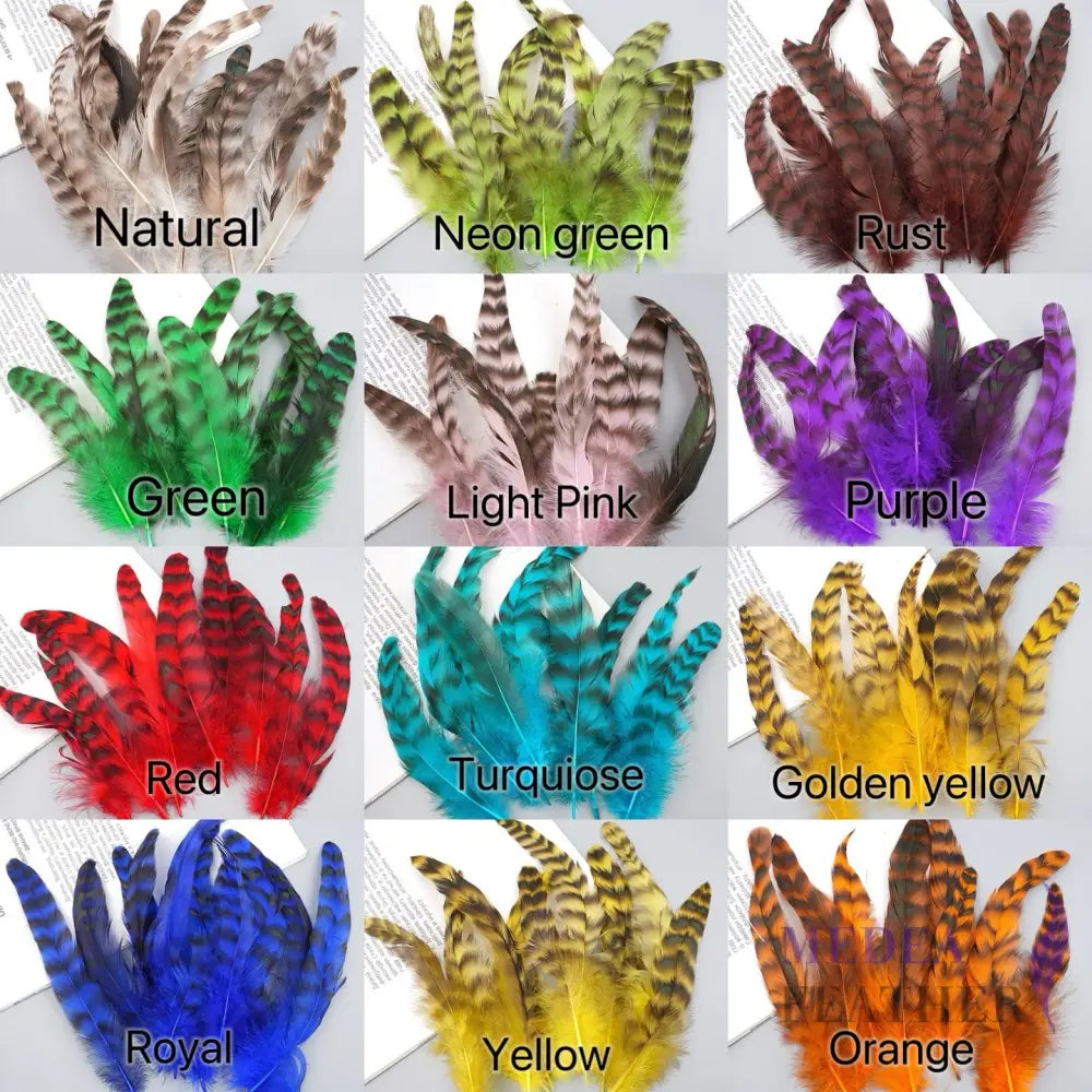 Long Chinchilla Coque Feather-Pack of 50