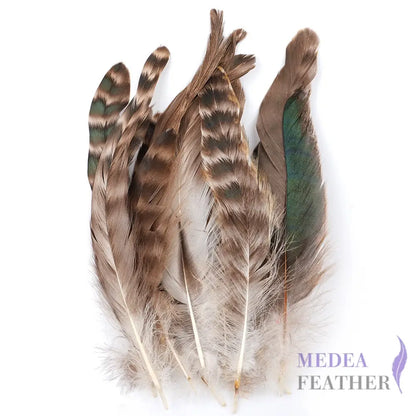 Long Chinchilla Coque Feather-Pack of 50
