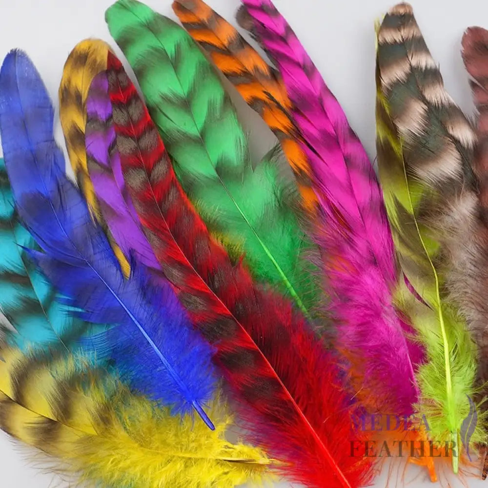 Long Chinchilla Coque Feather-Pack of 50