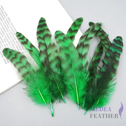 Long Chinchilla Coque Feather-Pack of 50 - Green