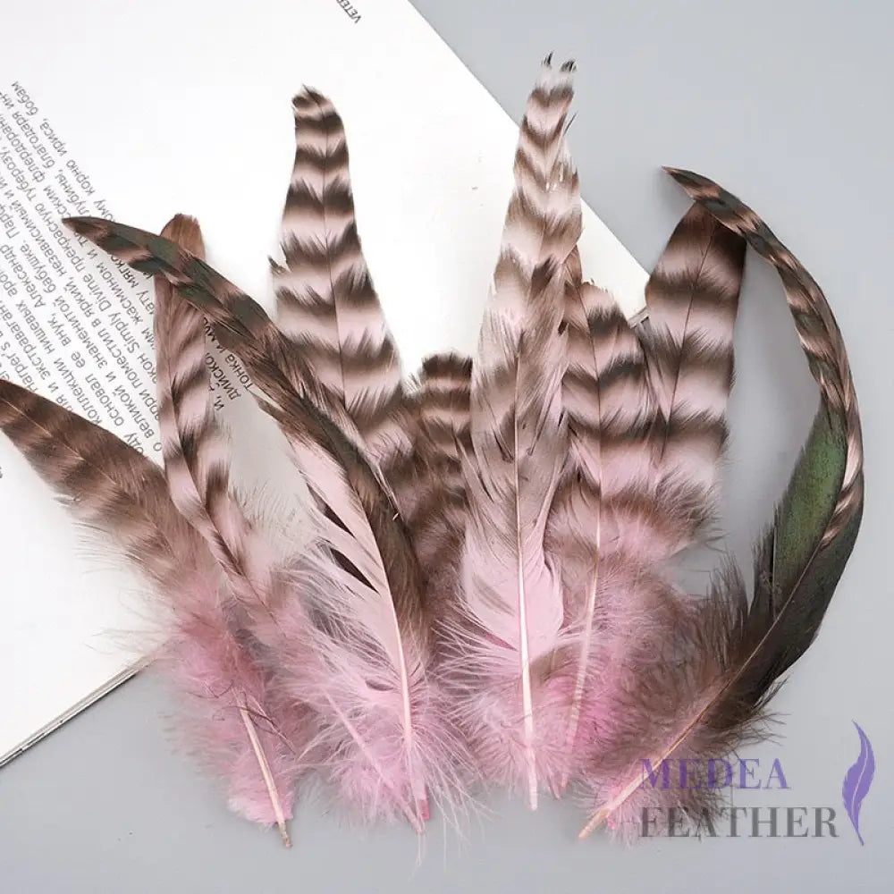 Long Chinchilla Coque Feather-Pack of 50 - Light Pink