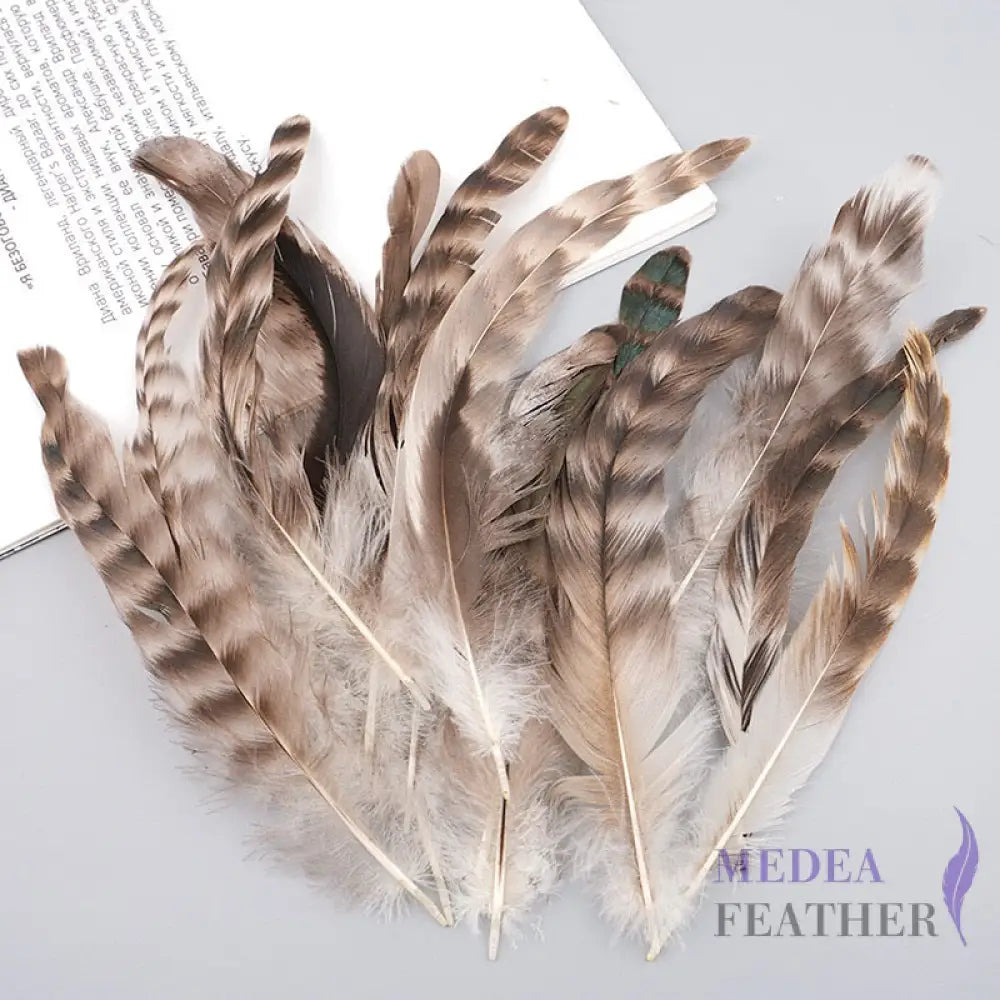 Long Chinchilla Coque Feather-Pack of 50 - Natural