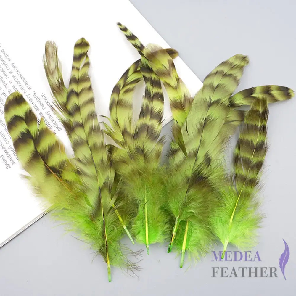 Long Chinchilla Coque Feather-Pack of 50 - Neon Green