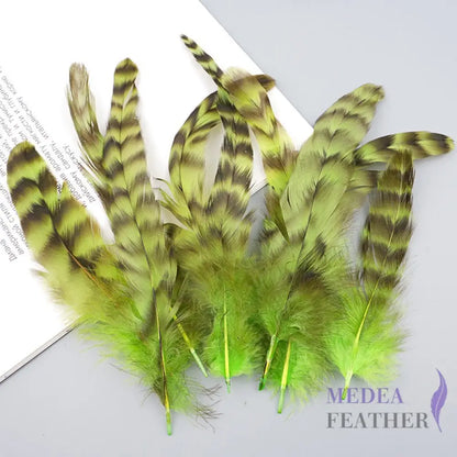 Long Chinchilla Coque Feather-Pack of 50 - Neon Green