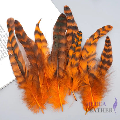 Long Chinchilla Coque Feather-Pack of 50 - Orange