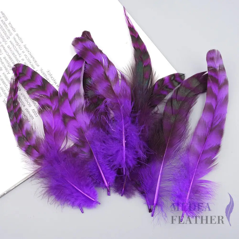 Long Chinchilla Coque Feather-Pack of 50 - Purple