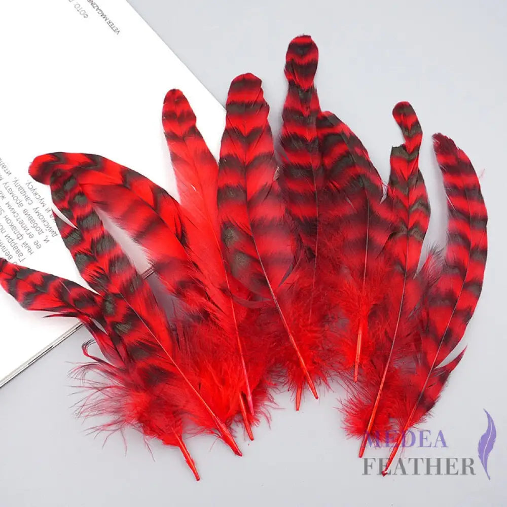 Long Chinchilla Coque Feather-Pack of 50 - Red