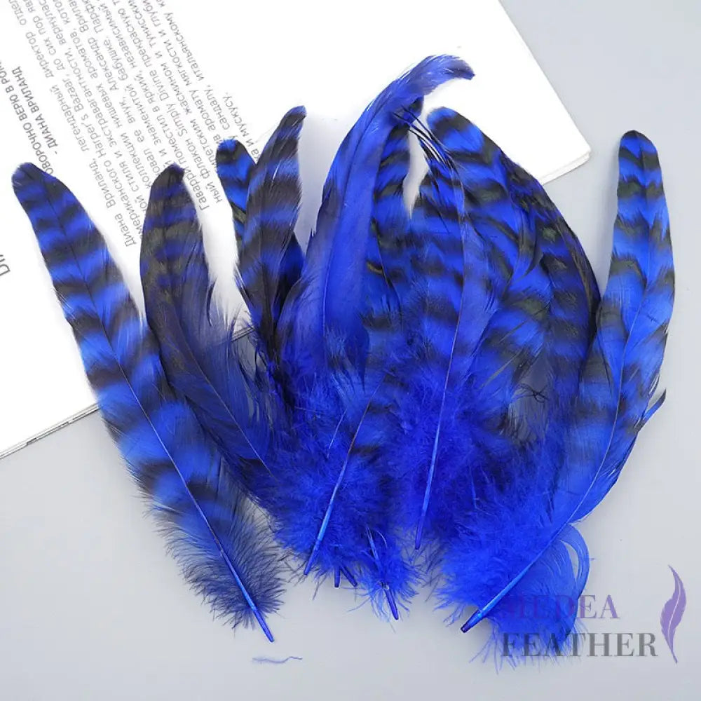 Long Chinchilla Coque Feather-Pack of 50 - Royal blue