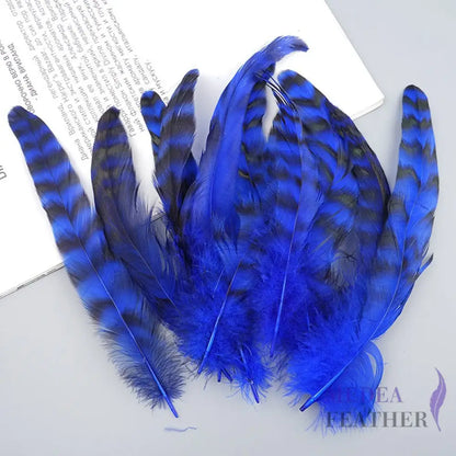 Long Chinchilla Coque Feather-Pack of 50 - Royal blue