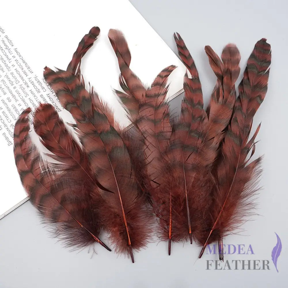 Long Chinchilla Coque Feather-Pack of 50 - Rust