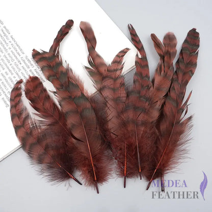 Long Chinchilla Coque Feather-Pack of 50 - Rust
