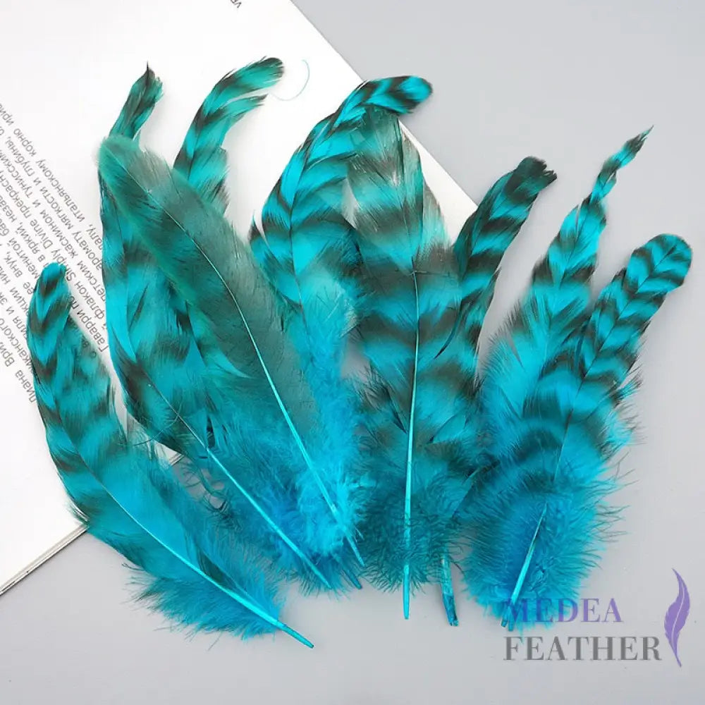 Long Chinchilla Coque Feather-Pack of 50 - Turquiose