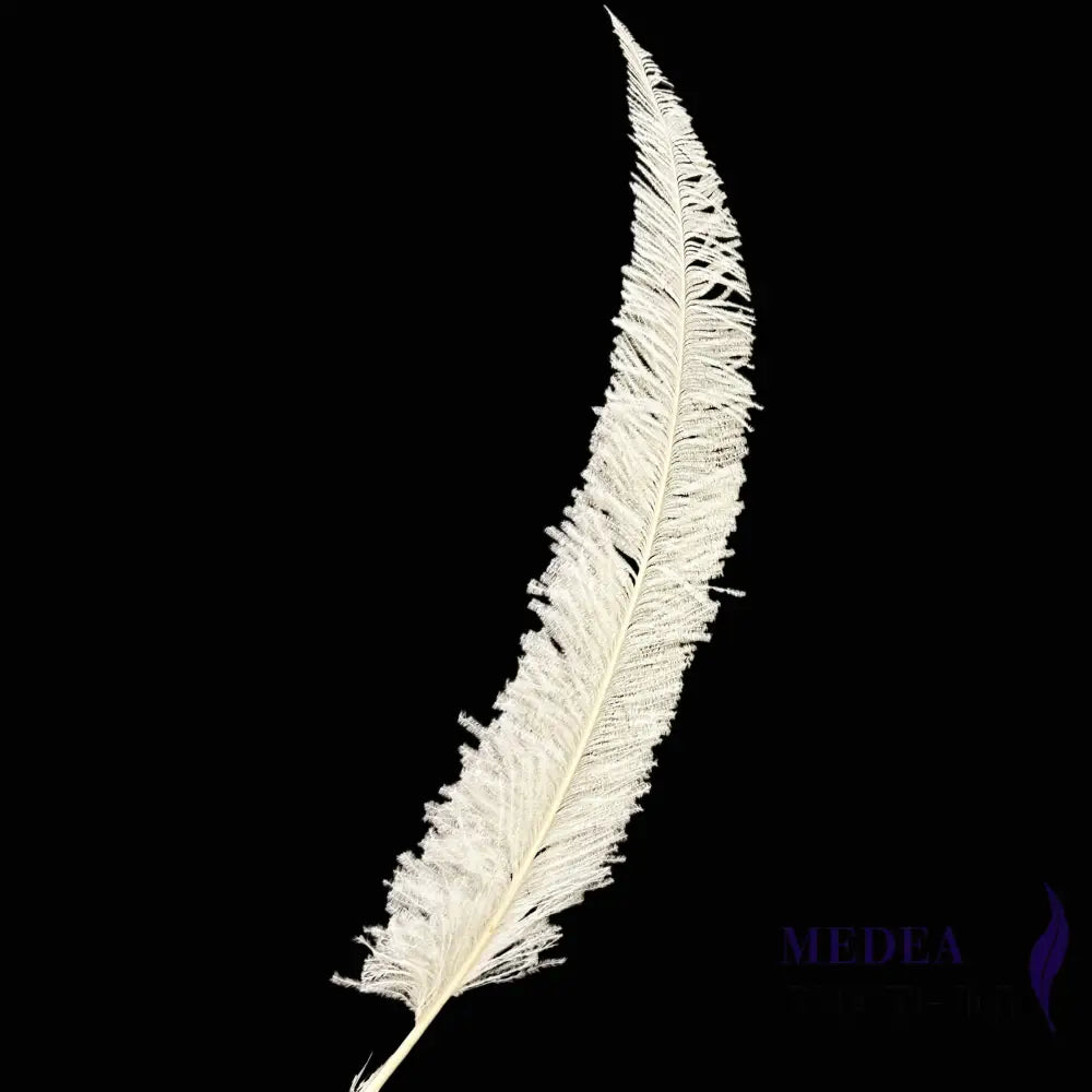 Long Clipped Ostrich Feather Plume 55-60cm - #01Ivory